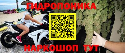 a pvp Будённовск