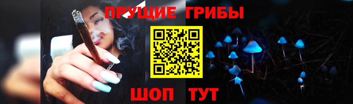 Минусинск  Галлюциногенные грибы Psilocybine cubensis  Вход с VPN  Псилоцибиновые грибы мицелий 